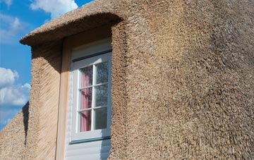 Cound thatch roof disadvantages